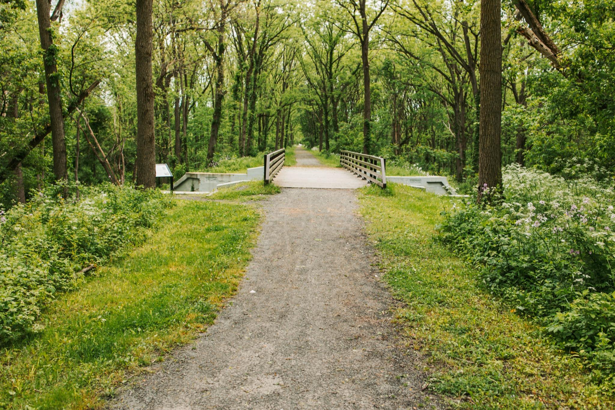 Rail Trail new_compressed